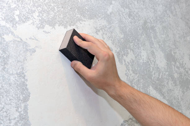 Best Mold Prevention Services  in Livingston, LA