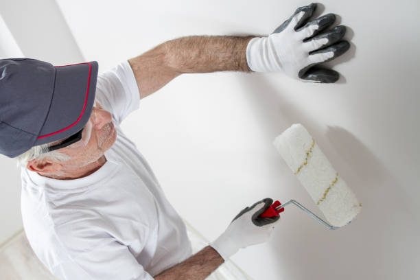 Reliable Livingston, LA Mold Removal Solutions