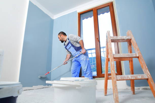 Best Attic Mold Removal  in Livingston, LA