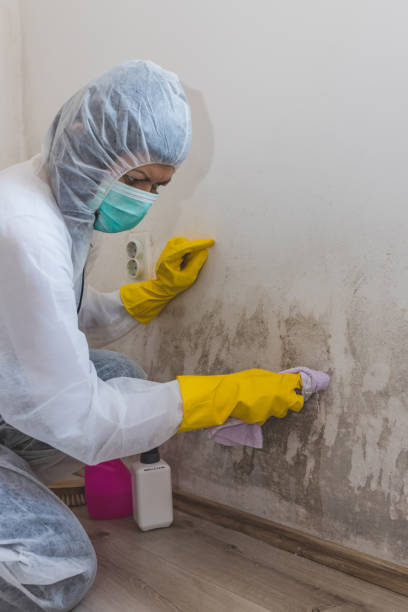 Best Residential Mold Inspection & Testing  in Livingston, LA