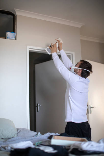 Best Mold Odor Removal Services  in Livingston, LA