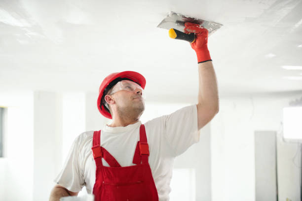 Dehumidification Services in Livingston, LA